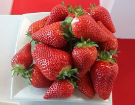 Клубника Ариель купить