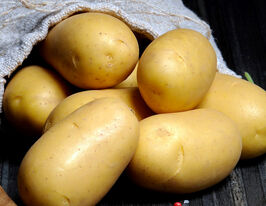 Картофель Глориетта купить