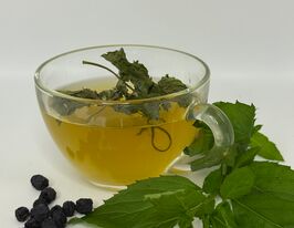 Мята сушеная грушева купить