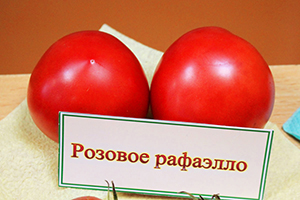 Томат Рожеве рафаелло, Томати колекційні, Насіння овочів, Добродар Добродар - купити в Україні
