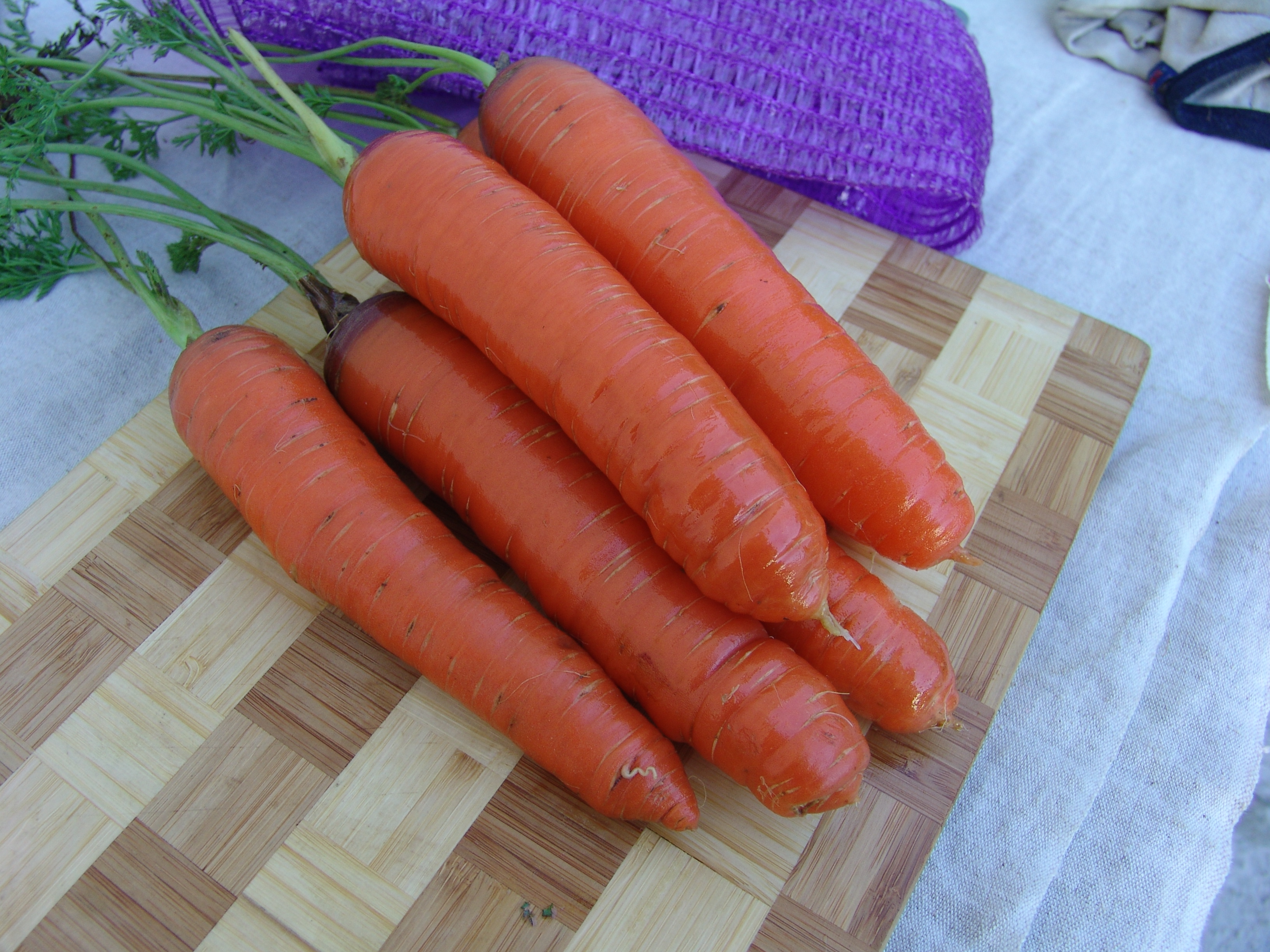 Морковь семена лучшие сорта для открытого. Баядера сортов моркови. Сорт морковка speedof1. Морковь сорт Селивана. Сорта моркови для посадки.